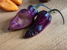 Load image into Gallery viewer, PJ Purple Ice Cream (Pepper Seeds)