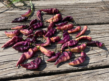 Load image into Gallery viewer, PJ Peach’z & Cream’z Mix (Pepper Seeds)