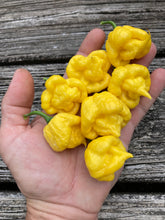 Load image into Gallery viewer, “Creamo” BOC X Primo (Cream) Pepper Seeds