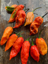 Load image into Gallery viewer, Primo Noir (Blushed) (Pepper Seeds)