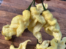 Load image into Gallery viewer, White Ghost Scorpion (Jays/T-E) (Pepper Seeds)