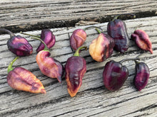 Load image into Gallery viewer, PJ Peach Fire XD (Pepper Seeds)