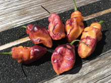 Load image into Gallery viewer, PJ Peach’z & Cream’z Mix (Pepper Seeds)