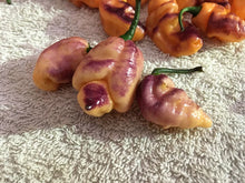 Load image into Gallery viewer, PJ Peach’z & Cream’z Mix (Pepper Seeds)
