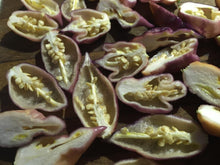 Load image into Gallery viewer, Taj Mahal Pink Minion (Pepper Seeds)