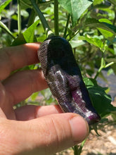 Load image into Gallery viewer, Agartha (VSRP Poblano) (Pepper Seeds)