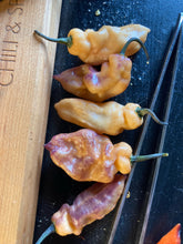Load image into Gallery viewer, PJ Peach Ice (Pepper Seeds)