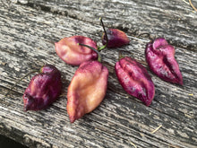 Load image into Gallery viewer, PJ Purple Ice Cream (Pepper Seeds)