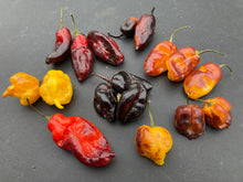 Load image into Gallery viewer, Red Horizon (Pepper Seeds)