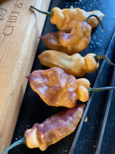 Load image into Gallery viewer, PJ Peach Ice (Pepper Seeds)