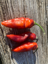 Load image into Gallery viewer, PJ Red OG (Pepper Seeds)