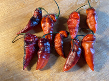 Load image into Gallery viewer, PJ Red OG (Pepper Seeds)