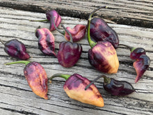 Load image into Gallery viewer, PJ Peach’z & Cream’z Mix (Pepper Seeds)