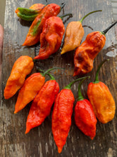 Load image into Gallery viewer, Primo Noir (Blushed) (Pepper Seeds)