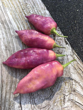 Load image into Gallery viewer, Taj Mahal Pink Minion (Pepper Seeds)