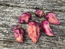 Load image into Gallery viewer, PJ Purple Ice Cream (Pepper Seeds)