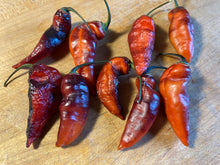 Load image into Gallery viewer, PJ Red OG (Pepper Seeds)