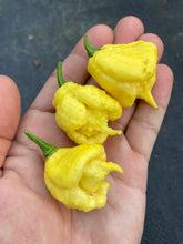 Load image into Gallery viewer, “Creamo” BOC X Primo (Cream) Pepper Seeds