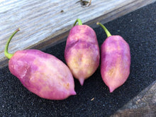 Load image into Gallery viewer, Taj Mahal Pink Minion (Pepper Seeds)