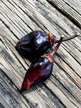 Load image into Gallery viewer, M.A.M.P. Bubblegum Black (Pepper Seeds)