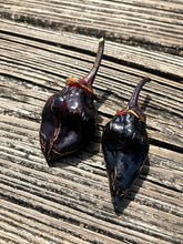 Load image into Gallery viewer, M.A.M.P. Bubblegum Black (Pepper Seeds)
