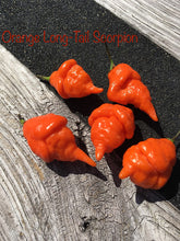 Load image into Gallery viewer, SuperHot Collection (Pepper Seeds)