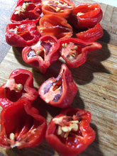 Load image into Gallery viewer, Purple Ghost Scorpion (Pepper Seeds)