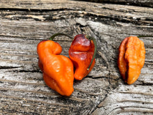 Load image into Gallery viewer, PJ Med Ice & Bumpy Ice (Pepper Seeds)