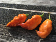 Load image into Gallery viewer, PJ Orange OG (Pimenta Jolokia)(Pepper Seeds)