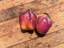 Load image into Gallery viewer, Puma Peach Habanero T-E (Pepper Seeds)