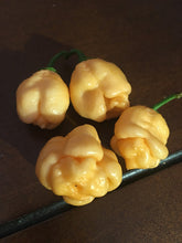 Load image into Gallery viewer, Pink Murupi Moruga (Pepper Seeds)