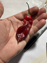 Load image into Gallery viewer, Red Horizon (Pepper Seeds)