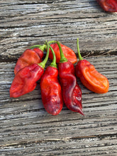 Load image into Gallery viewer, Red Horizon (Pepper Seeds)