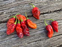 Load image into Gallery viewer, Red Horizon (Pepper Seeds)