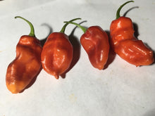 Load image into Gallery viewer, Red Horizon (Pepper Seeds)
