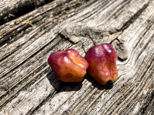 Load image into Gallery viewer, Roxa Lantern (Pepper Seeds)