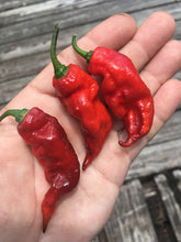Load image into Gallery viewer, Red Tiger (Pepper Seeds)