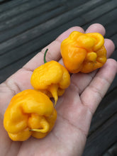 Load image into Gallery viewer, Reaper Yellow (Pepper Seeds)