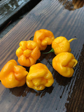 Load image into Gallery viewer, Reaper Yellow (Pepper Seeds)