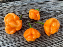 Load image into Gallery viewer, Scotch Bonnet Freeport Orange (Pepper Seeds)