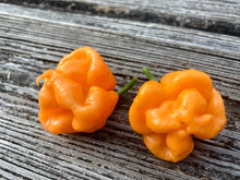 Load image into Gallery viewer, Scotch Bonnet Freeport Orange (Pepper Seeds)
