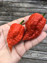 Load image into Gallery viewer, SuperHot Collection (Pepper Seeds)