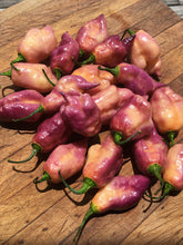 Load image into Gallery viewer, Taj Mahal Pink/Peach (Pepper Seeds)