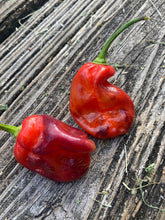 Load image into Gallery viewer, VR Horizon (Pepper Seeds)