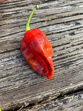 Load image into Gallery viewer, VR Horizon (Pepper Seeds)