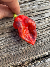 Load image into Gallery viewer, VR Horizon (Pepper Seeds)