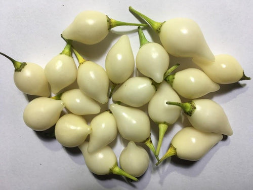 Chupetinho White (Pepper Seeds)