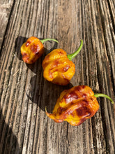 Load image into Gallery viewer, Wicked Horizon (Limited)(Pepper Seeds)