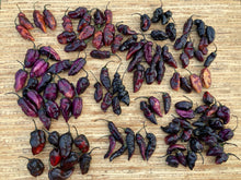 Load image into Gallery viewer, Pandora’s Box Pimenta Jolokia/PJ Mix (Pepper Seeds)