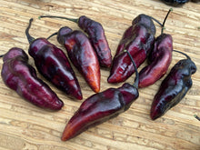 Load image into Gallery viewer, Pandora’s Box Pimenta Jolokia/PJ Mix (Pepper Seeds)